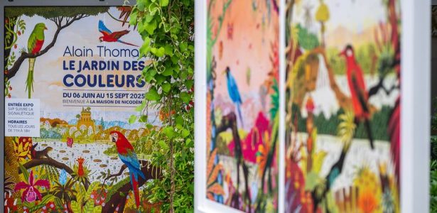Exposition Le Jardin Des Couleurs à la maison de nicodème à Nantes